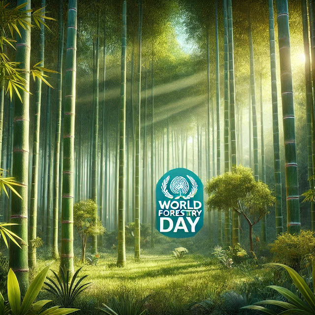 World Forestry Day 2024